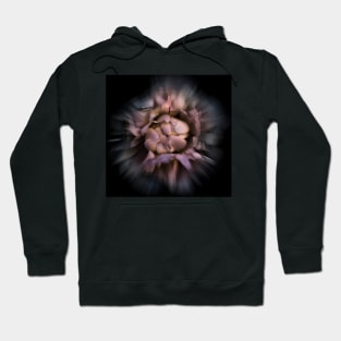 Backyard Flowers 56 Color Flow Version Hoodie